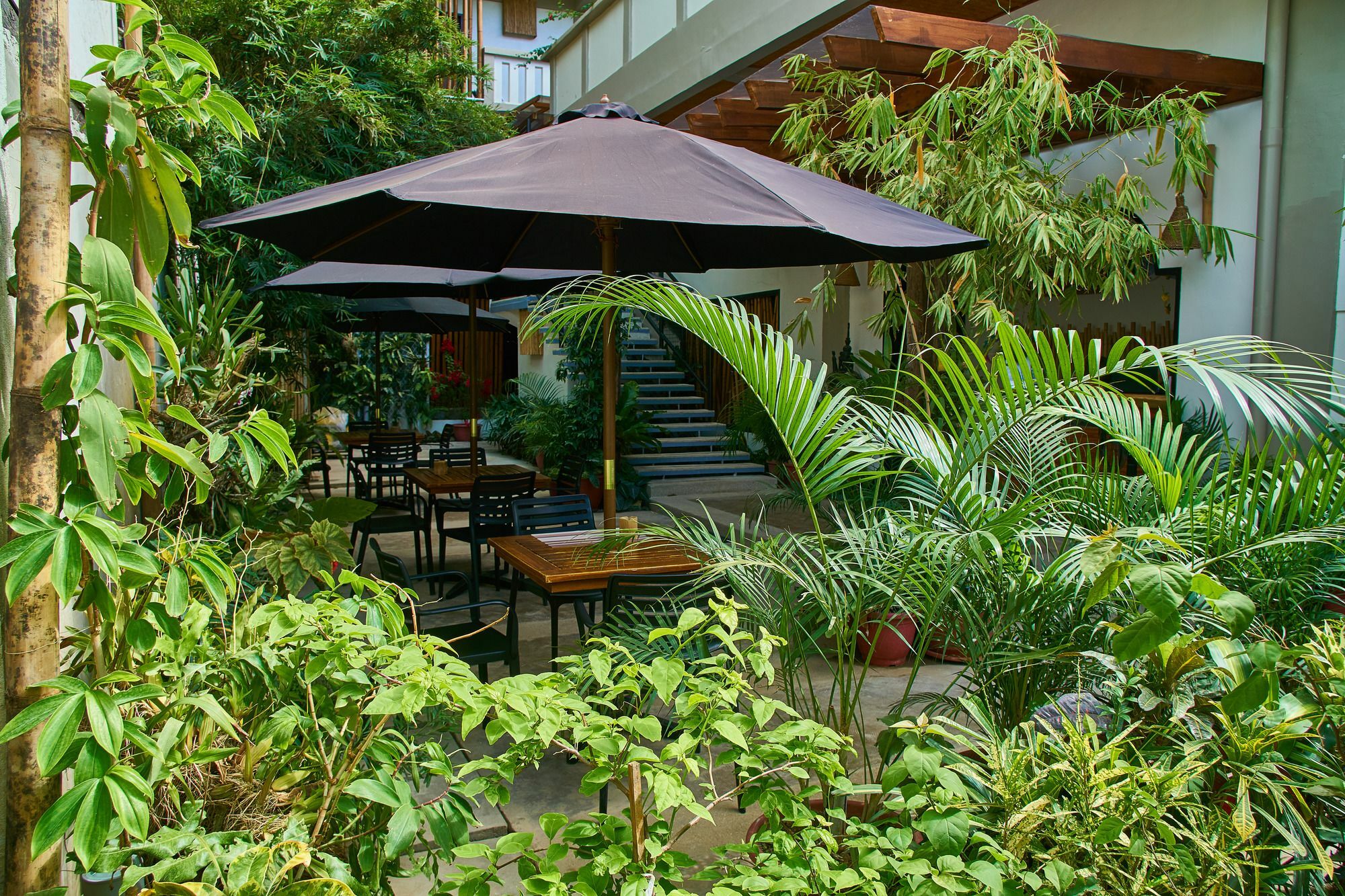 Amakan - Palawan bahay-panuluyan